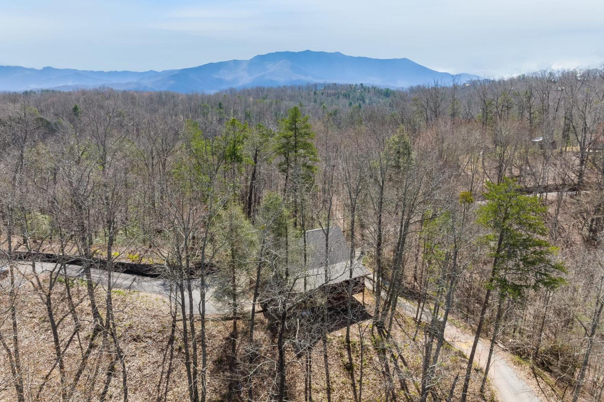 Dudley Ii By Avantstay Comfortable W Hot Tub Views Pigeon Forge